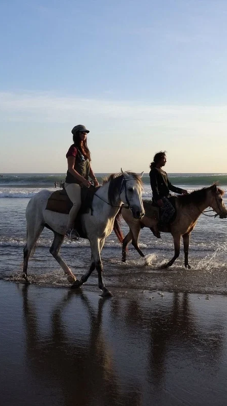 HORSE RIDING