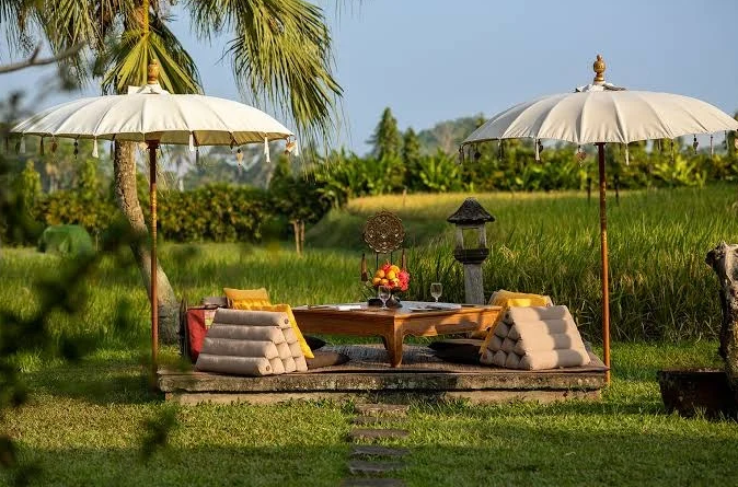 PICNIC WITH RICE FIELD VIEW