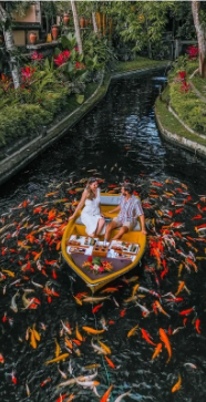 Picnic on Boat