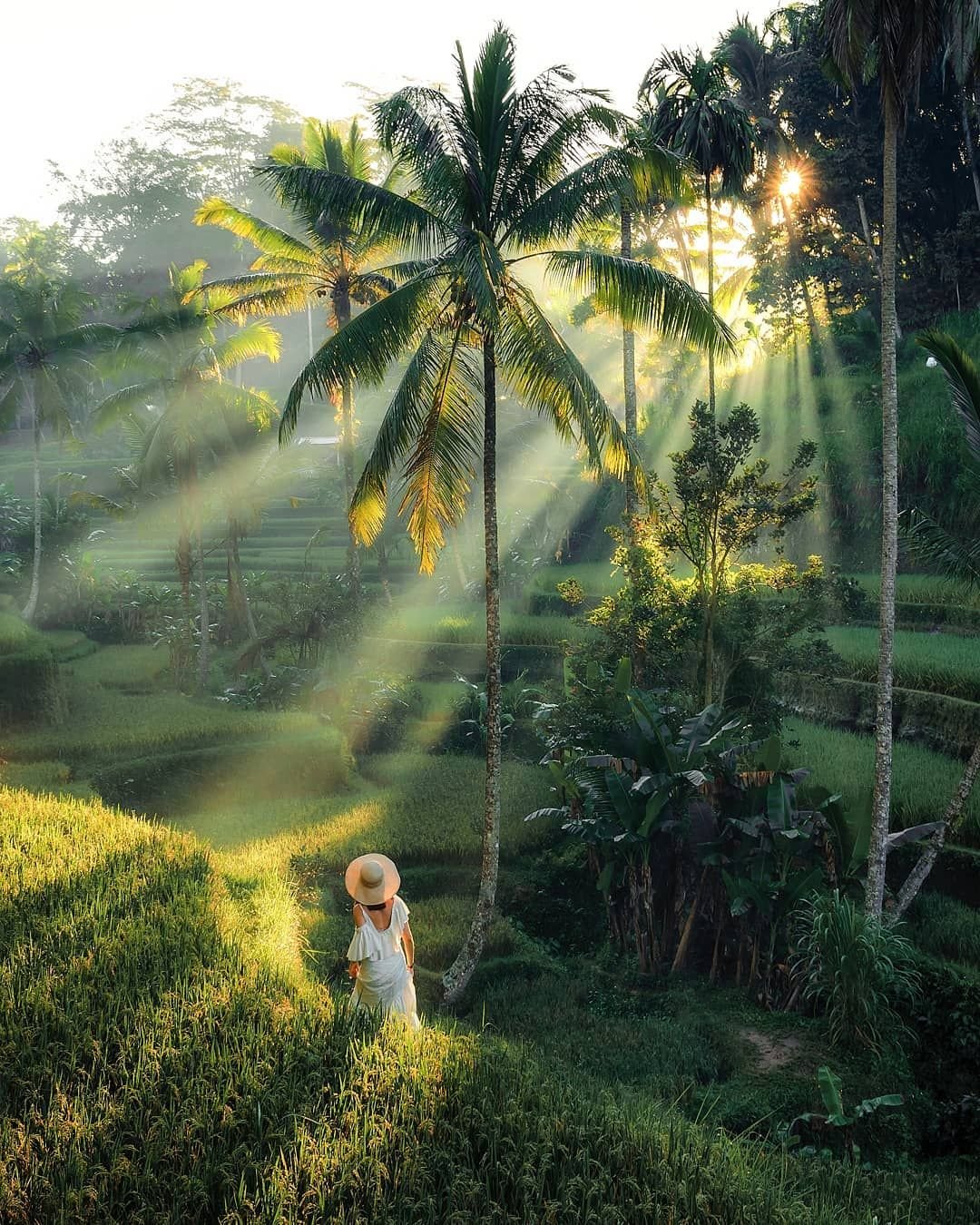 kuta bali
