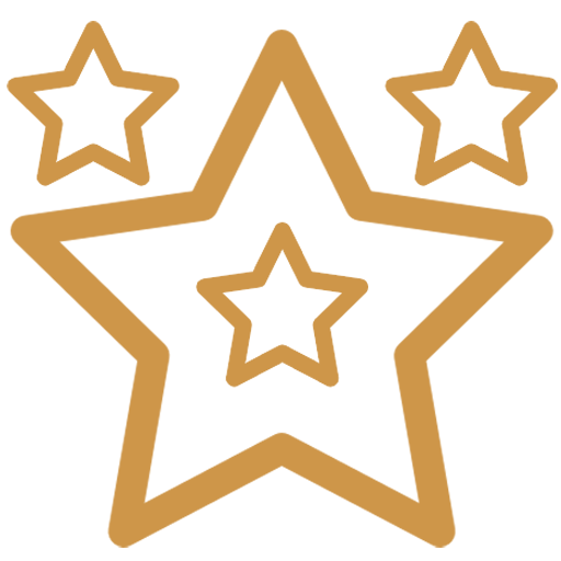 icon star