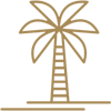 Palm tree bali