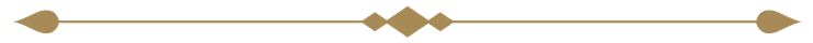 icon line 2