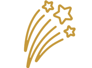 icon star