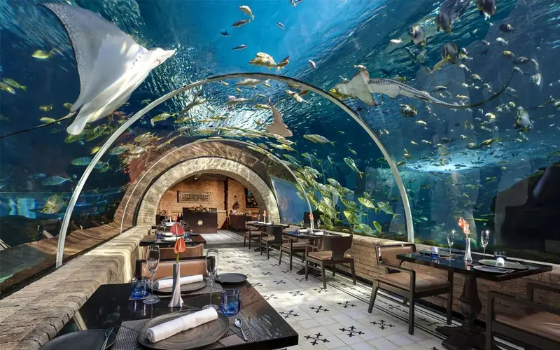 Luxury fine dining inside an underwater aquarium restaurant in Bali curated organized by Bali Assist Co luxury tour