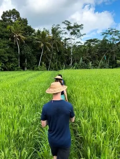 Tourists walking through green rice fields during organic farm tour in Ubud for The Discovery Day 4 by Bali Assist Co