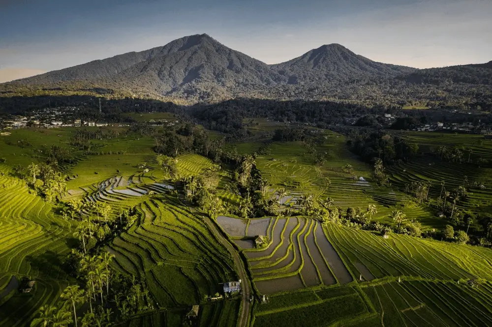 Breathtaking aerial view of green Jatiluwih rice terraces landscape in Tabanan for The Grand Escape Day 4 by Bali Assist Co