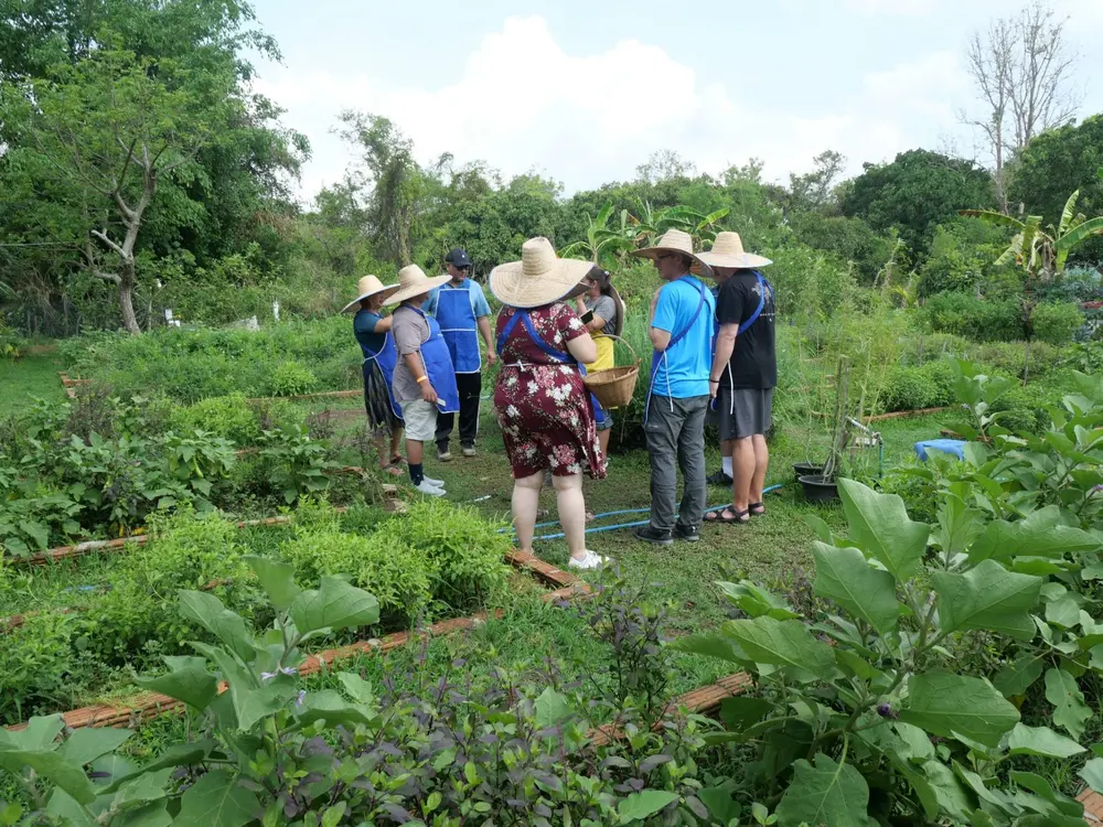 Group of tourists wearing conical hats exploring an organic farm garden for ingredients in Bali Assist Co itinerary