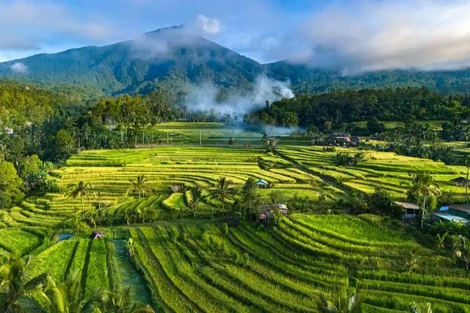 Lush green Jatiluwih Rice Terraces with misty mountain backdrop for The Signature Journey Day 4 by Bali Assist Co