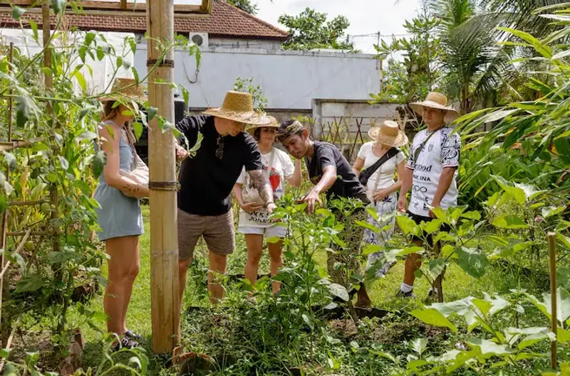 Chef guiding tourists on how to harvest fresh organic herbs in Ubud farm for The Signature Journey by Bali Assist Co
