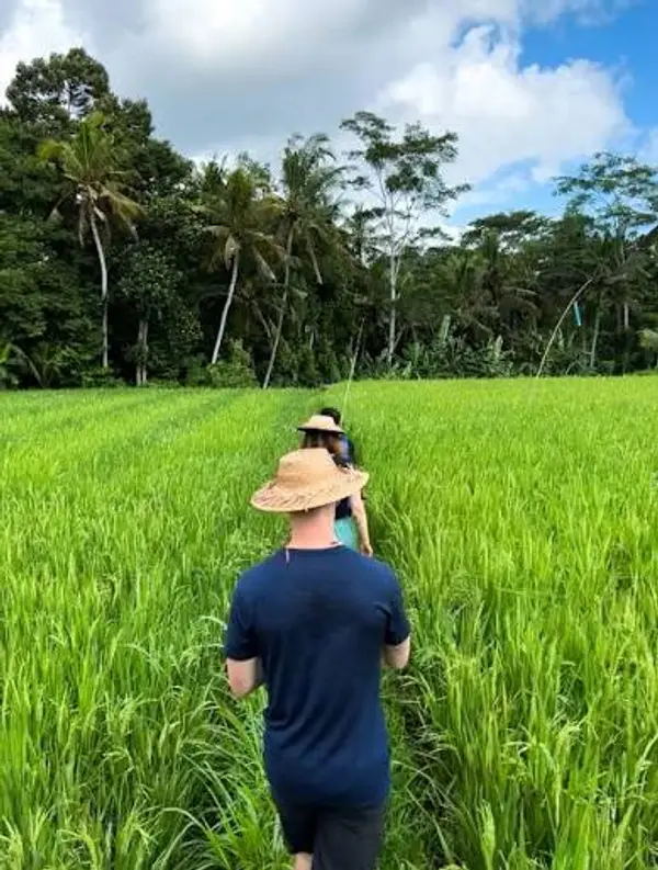 Tourists walking through green rice fields to harvest fresh ingredients for cooking class by Bali Assist Co