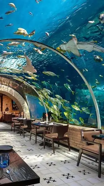 Guest seating area inside glass underwater aquarium tunnel at Koral Restaurant Bali by Bali Assist Co