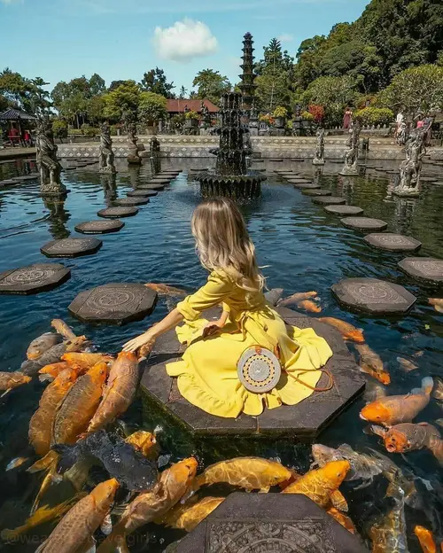 Tourist feeding golden koi fish at Tirta Gangga Water Palace stepping stones in Bali organized by Bali Assist Co luxury tour