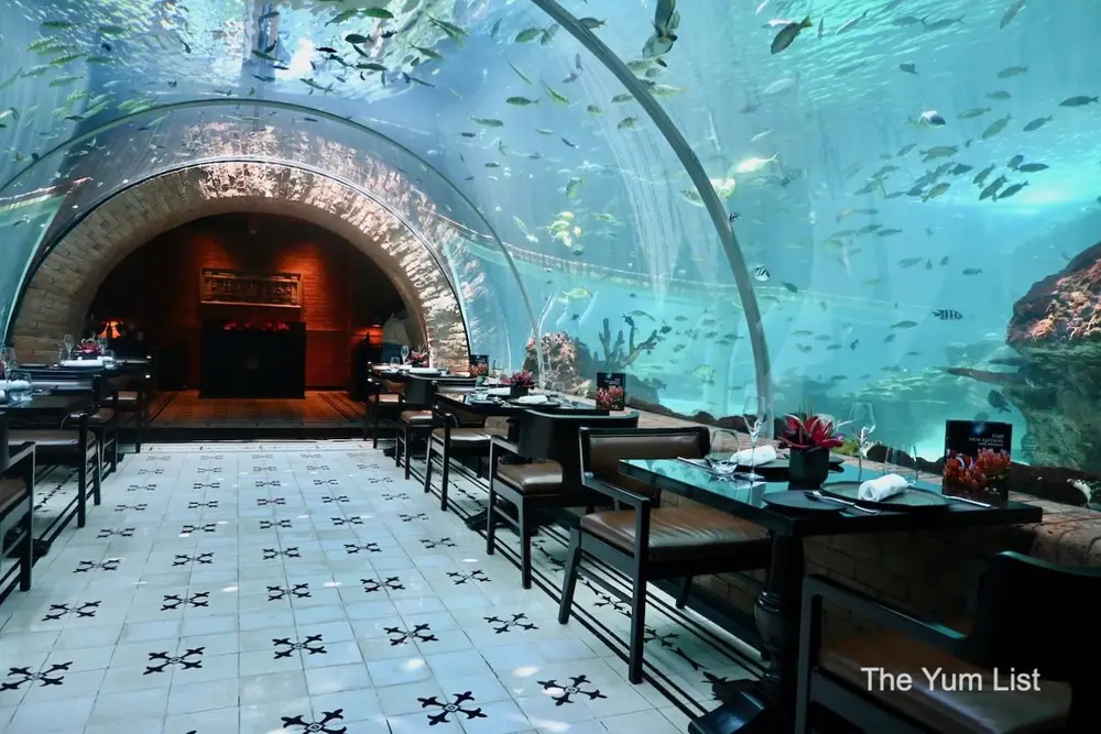 Private romantic dinner inside an underwater aquarium in Bali arranged by Bali Assist Co